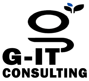 g-it consulting